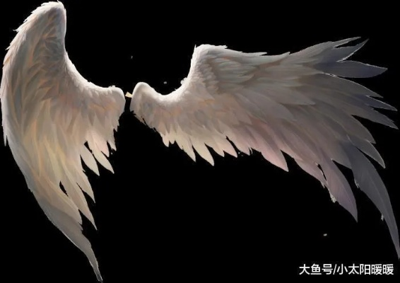 (天使之翼是什么)探寻天使之翼的奥秘:守护者的使命与力量的源泉 (天使之翼是什么)探寻天使之翼的奥秘:守护者的使命与力量的源泉